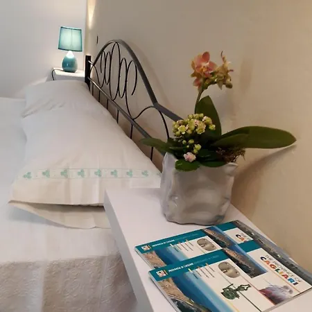 Hospiton Cagliari